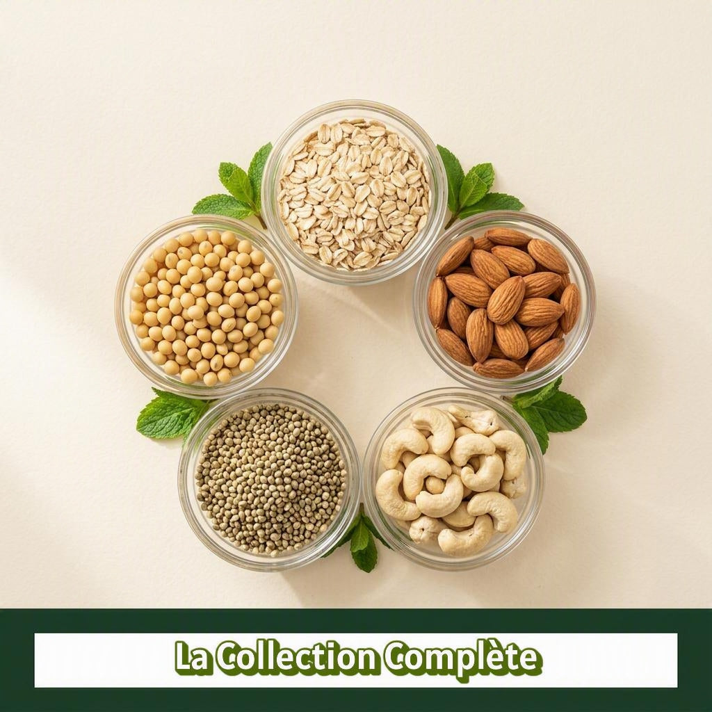 E-book Collection Complète Luxibre - 20 recettes lait végétal maison et guide nutritionnel