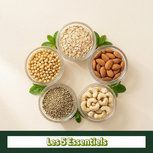 E-book gratuit Luxibre - 5 recettes de lait végétal maison faciles